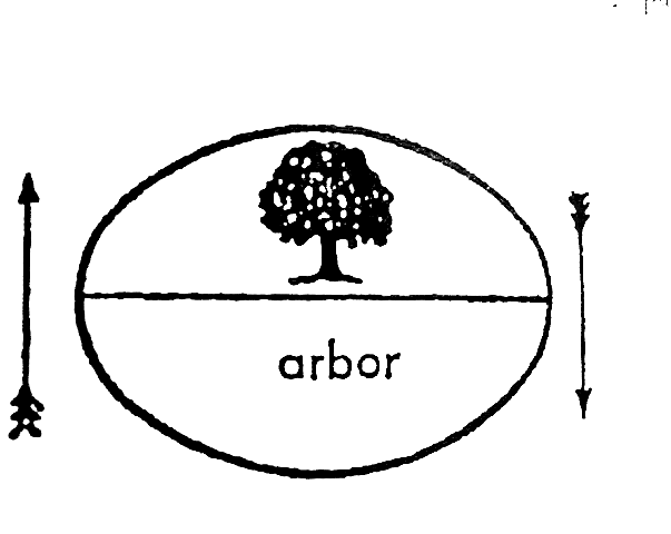 saussure-arbor.gif (13253 bytes)
